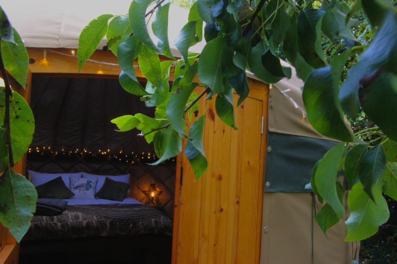 Stamford Meadows Glamping With Private Hot Tubs Hotel Ngoại thất bức ảnh